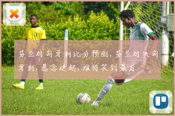 芬兰对匈牙利比分预测,芬兰对决匈牙利,悬念迭起,谁将笑到最后