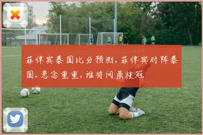 菲律宾泰国比分预测,菲律宾对阵泰国,悬念重重,谁将问鼎桂冠